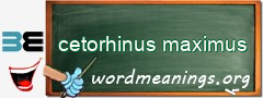 WordMeaning blackboard for cetorhinus maximus